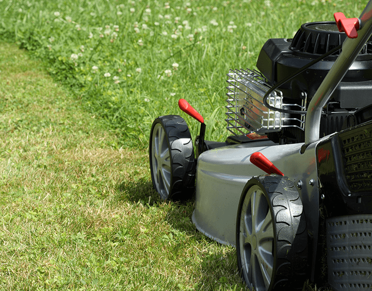 Mow lawns in the spring and summer for extra cash.