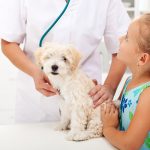 Child and dog at veterinarian's office